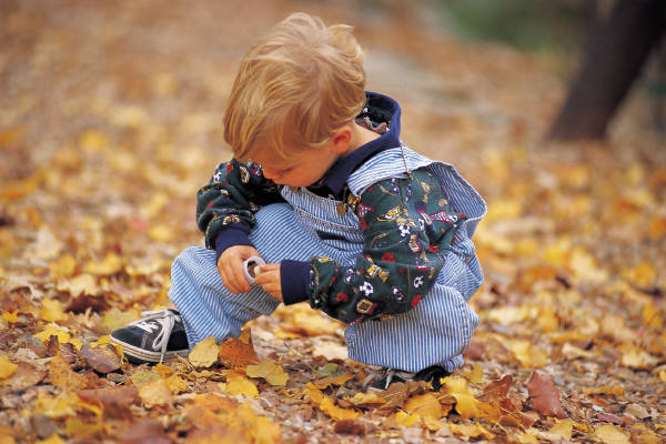pile of leaves